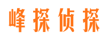 铜鼓婚外情调查取证